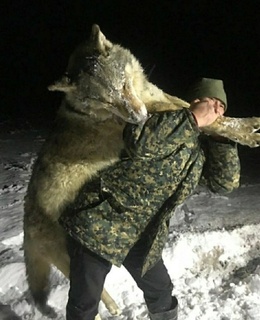 Константин